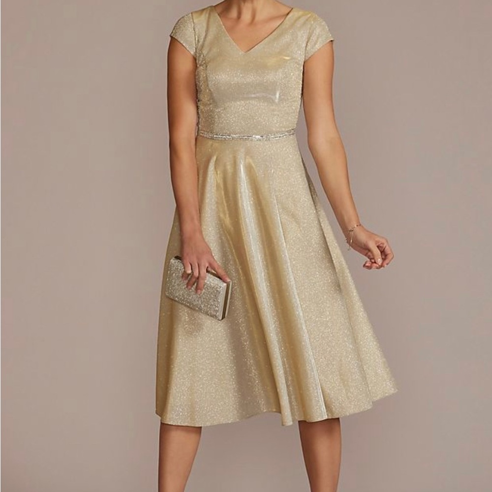 Oleg Cassini Women’s Metallic Tea- length Aline Dress- Size 22